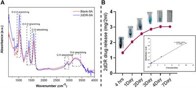 Stimulation of hair regrowth in an animal model of androgenic alopecia using 2-deoxy-D-ribose